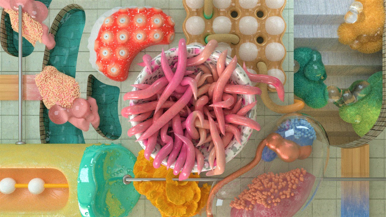 Worm Feast
